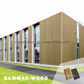 Plastic Decoration Wall Exterior Wood Plastic Composite External WPC Wall Panel Wooden Wall Cladding